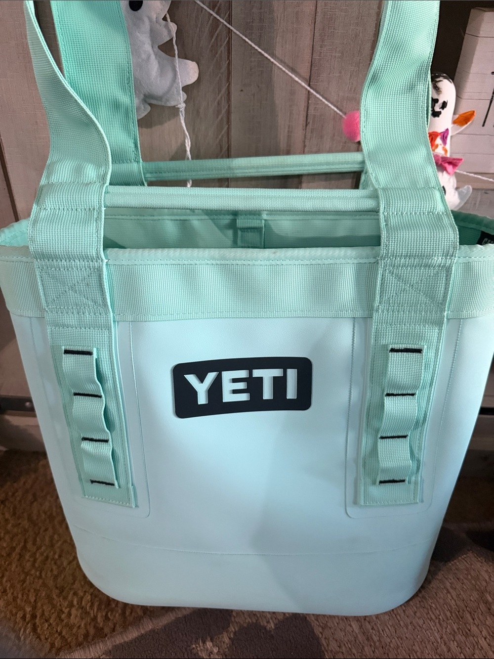 Yeti Mint Green Tote Bag with Logo